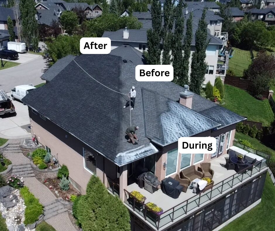 Aerial view of a hip roof mid-treatment, with treated, in-progress and untreated slopes labelled
